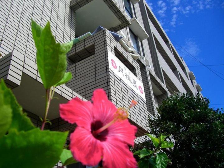 Shimayado Gettoya Ishigaki  Exterior photo